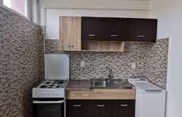 Garsoniera decomandata, 28 mp, pet friendly, zona Iulius Mall