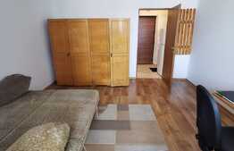 Garsoniera decomandata, 28 mp, pet friendly, zona Iulius Mall