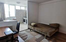 Garsoniera decomandata, 28 mp, pet friendly, zona Iulius Mall