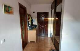 Apartament 2 camere, 36 mp, zona Porii