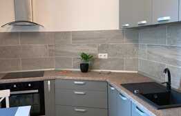 Apartament LUX  2 camere, 55 mp, imobil nou, parcare inclusa, Zona Platinia