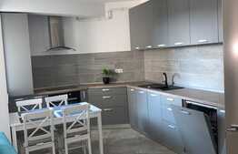Apartament LUX  2 camere, 55 mp, imobil nou, parcare inclusa, Zona Platinia