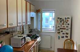 Garsoniera decomandata, 45 mp, pet friendly, zona Calea Turzii