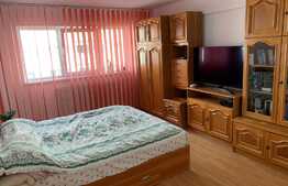 Garsoniera decomandata, 45 mp, pet friendly, zona Calea Turzii