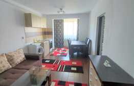 2 camere, la cheie, 48 mp., zona Somesului