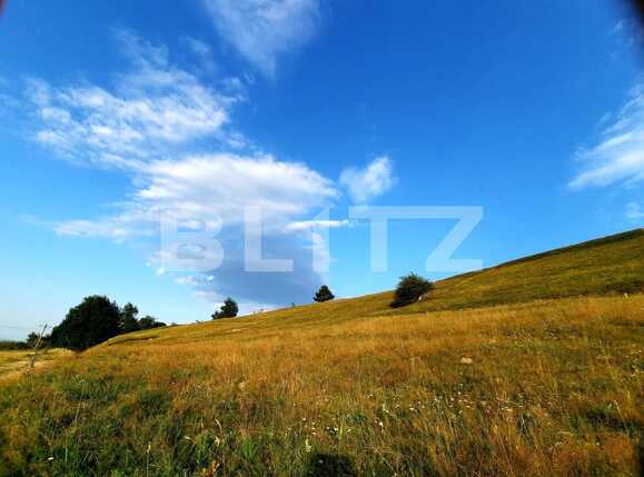 Teren de vânzare Feleacu - 54099TV | BLITZ Cluj-Napoca | Poza3