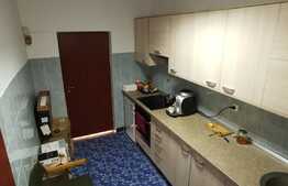 Oportunitate pentru investitie! Casa individuala amenajata pentru spatiu de birouri