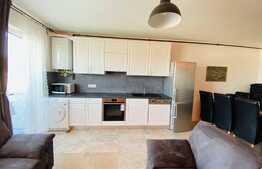 Apartament cu 2 camere, 50 mp, mobilat lux, parcare, zona Vivo