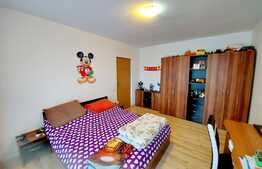 Apartament 2 camere, decomandat, 56mp, zona strazii Porii!