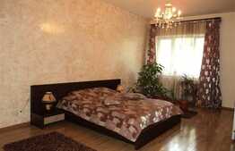 Investitie! Apartament cu 2 camere, etaj intermediar, 98 mp, cu preluare de chiriasi, Plopilor 