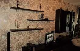 Investitie! Apartament cu 2 camere, etaj intermediar, 98 mp, cu preluare de chiriasi, Plopilor 