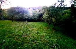  Teren intravilan 1122mp, front 47ml, zona linistita, in Suceagu