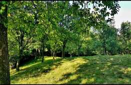  Teren intravilan 1122mp, front 47ml, zona linistita, in Suceagu