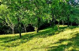  Teren intravilan 1122mp, front 47ml, zona linistita, in Suceagu