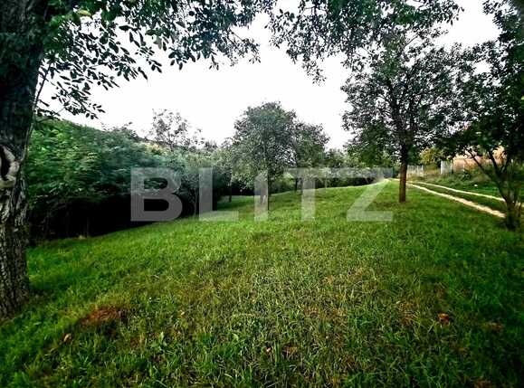 Teren de vânzare Suceagu - 54144TV | BLITZ Cluj-Napoca | Poza5