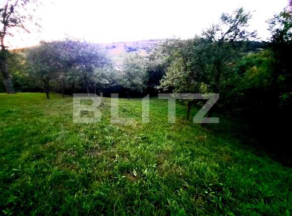 Teren de vânzare Suceagu - 54144TV | BLITZ Cluj-Napoca | Poza4