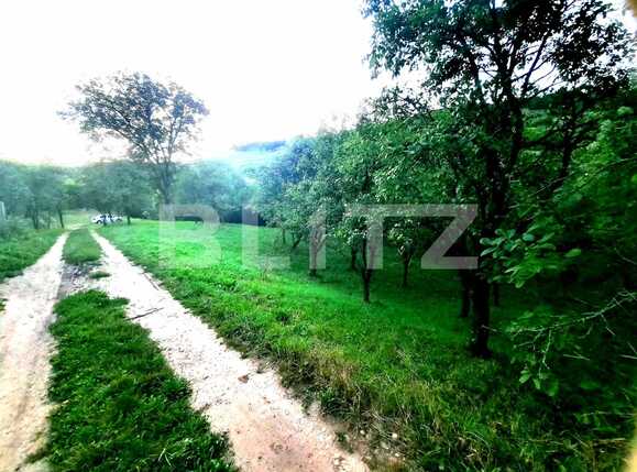 Teren de vânzare Suceagu - 54144TV | BLITZ Cluj-Napoca | Poza3