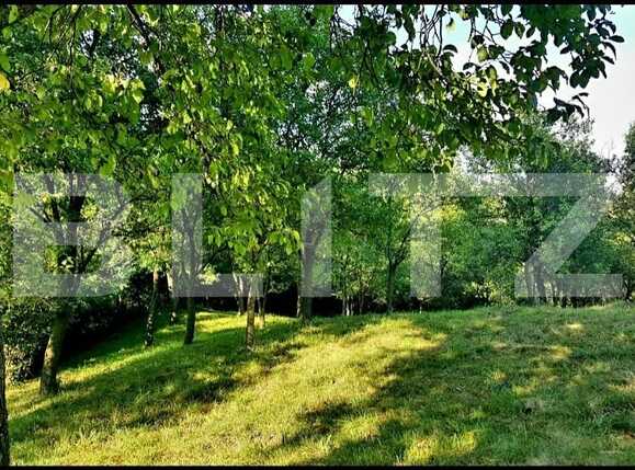 Teren de vânzare Suceagu - 54144TV | BLITZ Cluj-Napoca | Poza2