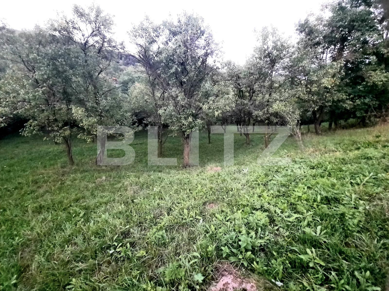 Teren de vânzare Suceagu - 54144TV | BLITZ Cluj-Napoca | Poza6