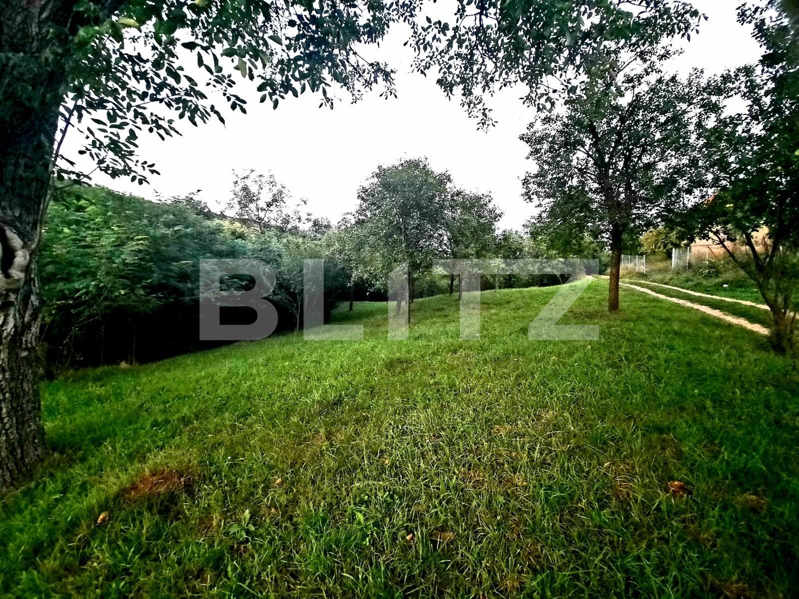 Teren de vânzare Suceagu - 54144TV | BLITZ Cluj-Napoca | Poza5