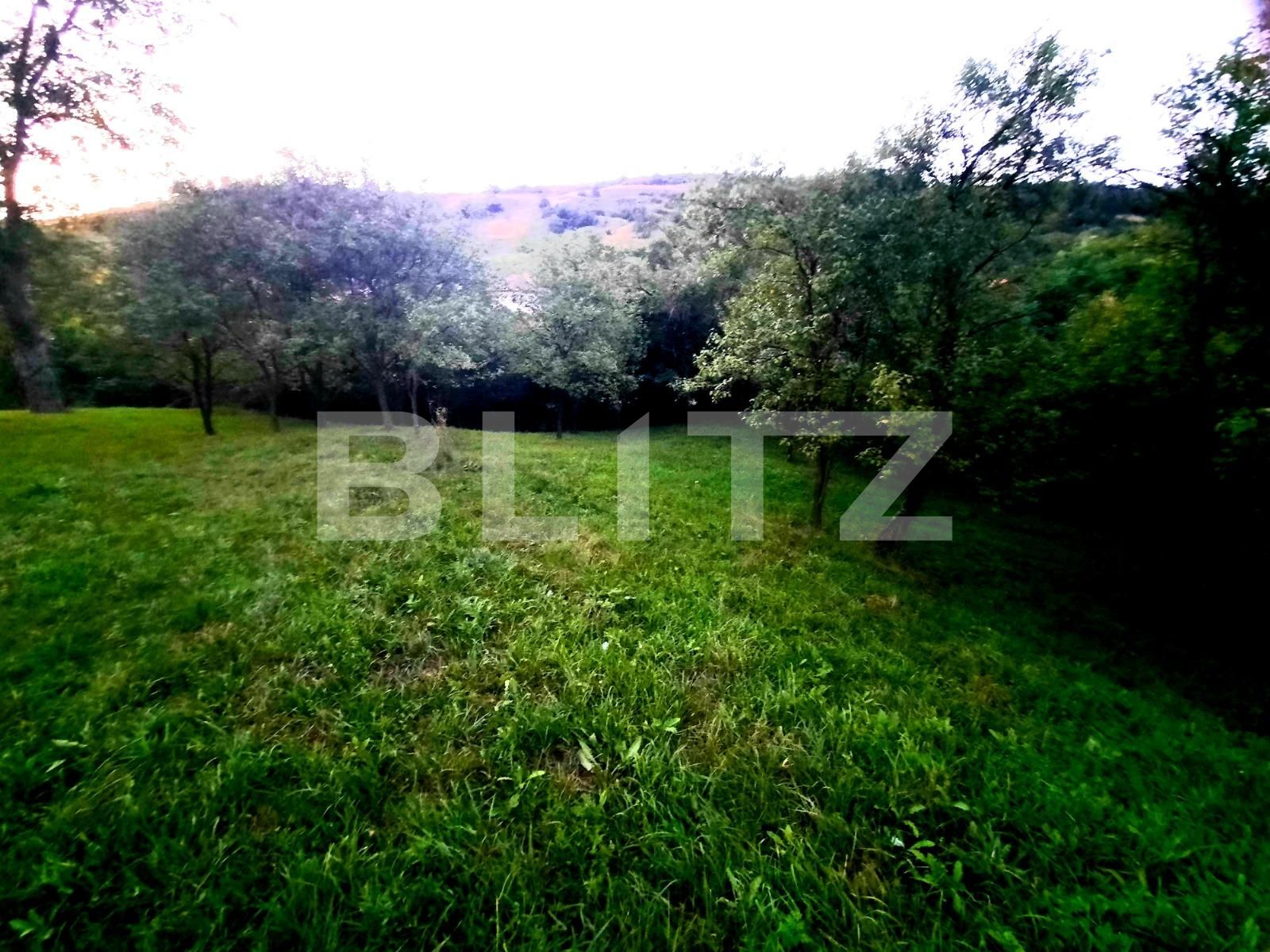 Teren de vânzare Suceagu - 54144TV | BLITZ Cluj-Napoca | Poza4