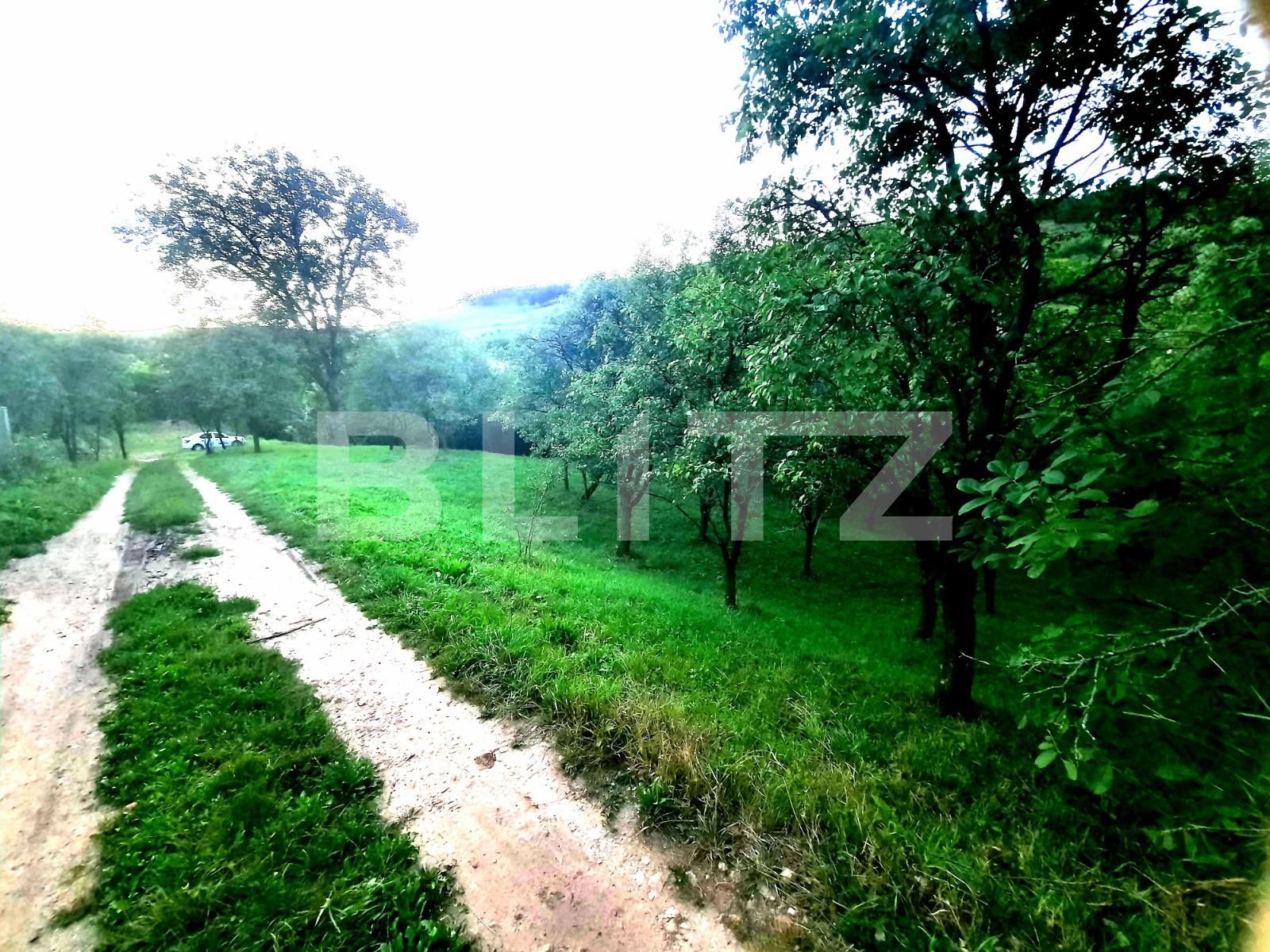 Teren de vânzare Suceagu - 54144TV | BLITZ Cluj-Napoca | Poza3