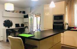 Apartament 4 camere, etaj intermediar, terasa 60 mp, in Zorilor 