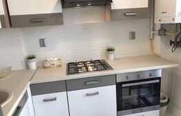 Apartament cu o camera, 40 mp, mobilat modern, zona FSEGA