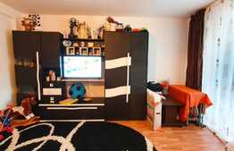 Apartament cu o camera spatioasa, 40 mp, APAHIDA