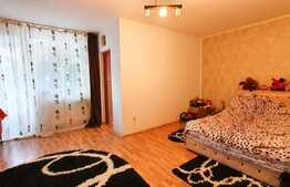 Apartament cu o camera spatioasa, 40 mp, APAHIDA
