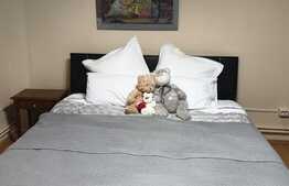 Apartament 2 camere, 65 mp, mobilat modern, zona UMF