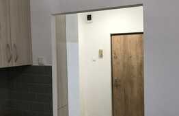 Apartament 1 camera, 42 mp, prima inchiriere, zona Kaufland