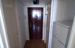 Garsoniera decomandata, 28 mp, pet friendly, zona Big