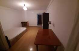 Garsoniera decomandata, 28 mp, pet friendly, zona Big