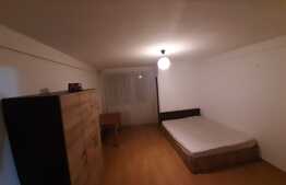 Garsoniera decomandata, 28 mp, pet friendly, zona Big