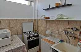 Garsoniera decomandata, 28 mp, pet friendly, zona Big