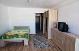 Garsoniera , 34 mp, pet friendly, zona Big