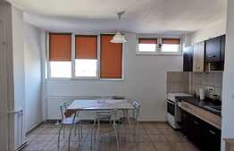 Garsoniera , 34 mp, pet friendly, zona Big