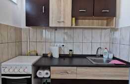 Garsoniera , 34 mp, pet friendly, zona Big