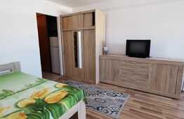 Garsoniera , 34 mp, pet friendly, zona Big