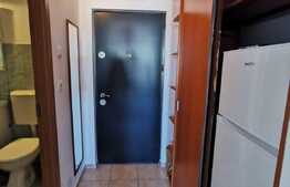 Garsoniera , 34 mp, pet friendly, zona Big