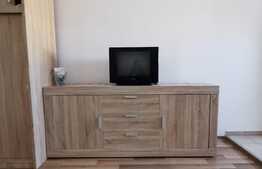 Garsoniera , 34 mp, pet friendly, zona Big