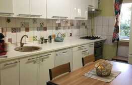 Apartament cu 3 camere, 65 mp, mobilat modern, zona strazii N. Titulescu