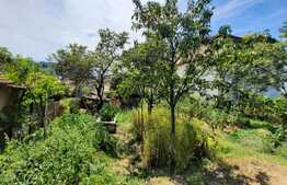 De vanzare casa individuala, 40 mp utili, 820 mp teren, zona linistita