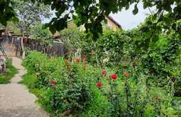 De vanzare casa individuala, 40 mp utili, 820 mp teren, zona linistita