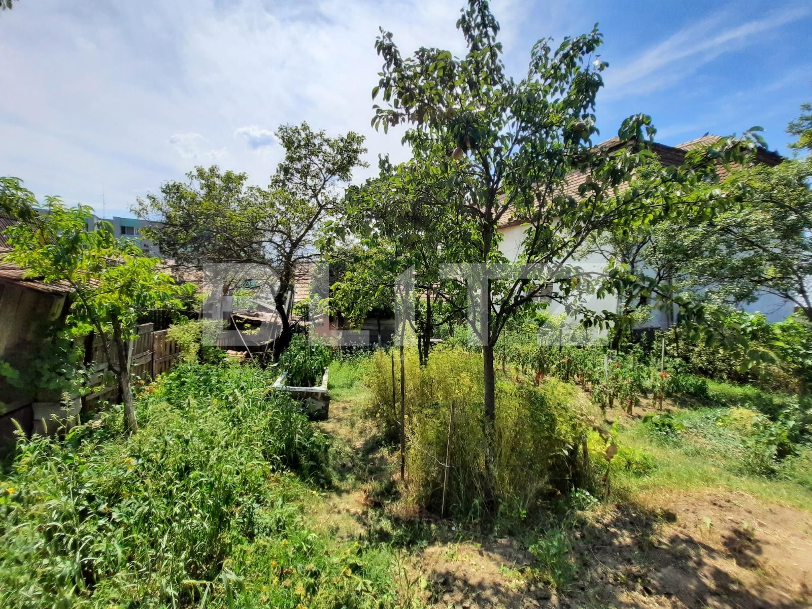 Casa de vânzare 2 camere Iris - 54189CV | BLITZ Cluj-Napoca | Poza5