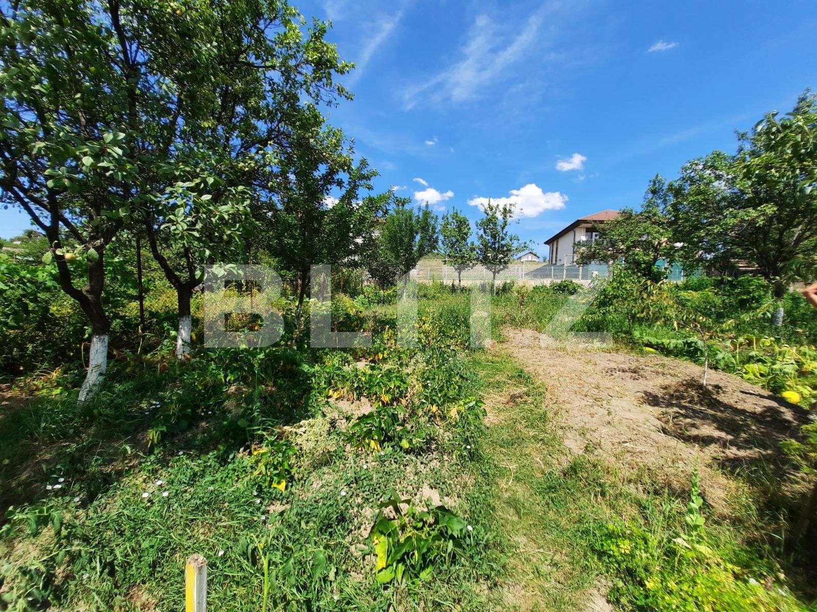 Casa de vânzare 2 camere Iris - 54189CV | BLITZ Cluj-Napoca | Poza4