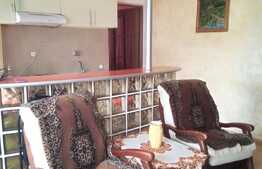 Apartament, 2 camere, 42mp, zona Stejarului