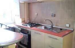 Apartament, 2 camere, 42mp, zona Stejarului