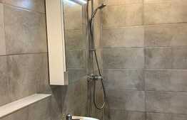 Apartament ideal pentru studenti, zona centrala a orasului.